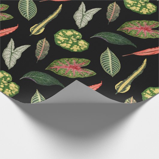 Wrapping Paper Cadeaupapier (Hoek)