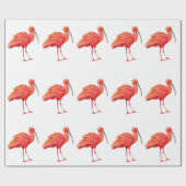 Wrapping Paper - Scarlet Ibis Cadeaupapier (Vlak)