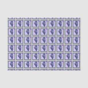 Wrapping weefsel - ILLINOIS - omhuld pictogram Tissuepapier