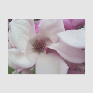 Wrapping Weefsel - Saucer Magnolia Bloom Tissuepapier