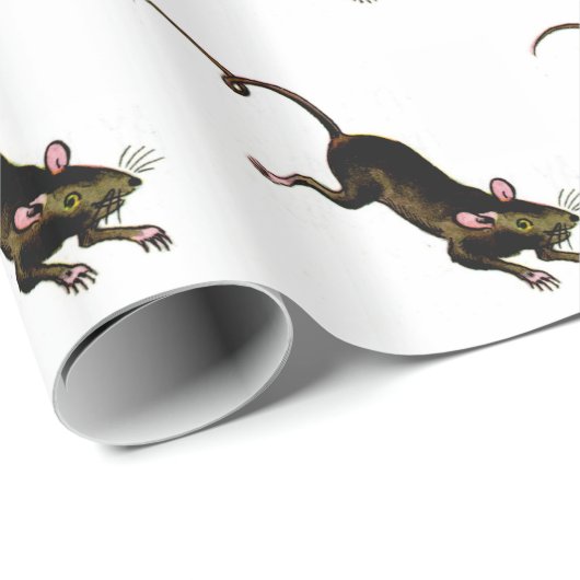 WRAPPINGPAPIERMUIS CADEAUPAPIER (Rol Hoek)