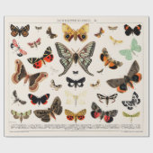 WRAPPINGSPAPIER: ANTIEK BUTTERFLY EN MOTH CHART CADEAUPAPIER (Vlak)