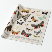 WRAPPINGSPAPIER: ANTIEK BUTTERFLY EN MOTH CHART CADEAUPAPIER (Uitgerold)