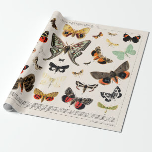 WRAPPINGSPAPIER: ANTIEK BUTTERFLY EN MOTH CHART CADEAUPAPIER