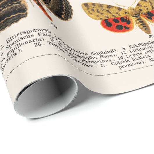 WRAPPINGSPAPIER: ANTIEK BUTTERFLY EN MOTH CHART CADEAUPAPIER (Rol Hoek)