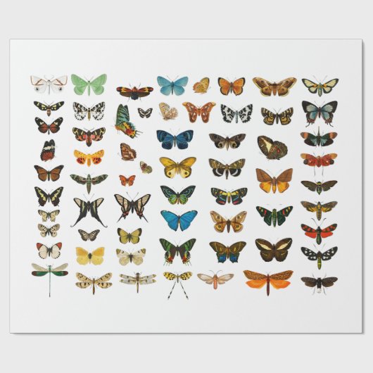WRAPPINGSPAPIER:  BUTTERFLY-KARTJE CADEAUPAPIER (Vlak)