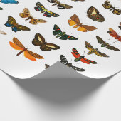 WRAPPINGSPAPIER:  BUTTERFLY-KARTJE CADEAUPAPIER (Hoek)
