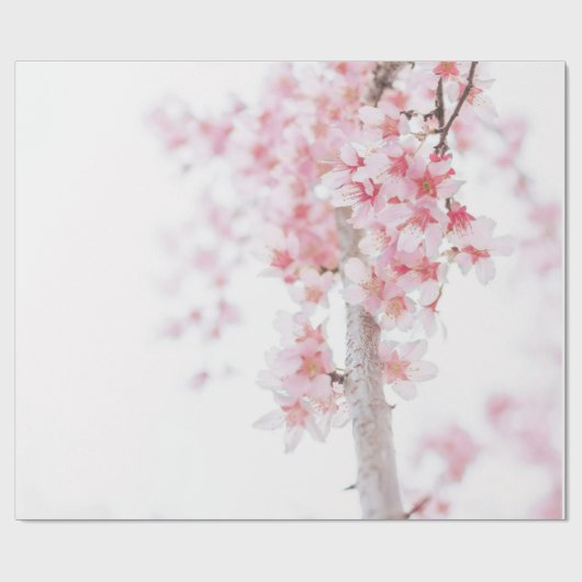 WRAPPINGSPAPIER: CHERRY BLOSSOMS CADEAUPAPIER (Vlak)