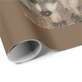 Wrapppapier voor rakelsteen cadeaupapier (Rol Hoek)