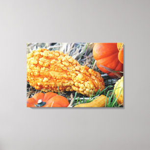Wratmeloen Canvas Afdruk