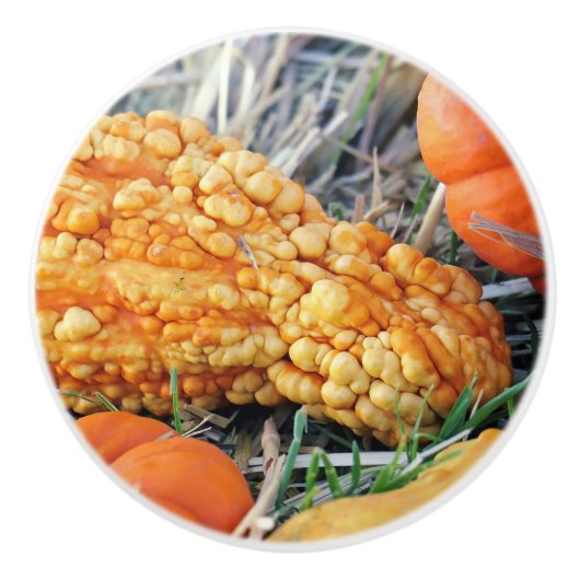 Wratmeloen  keramische knop (Voorkant)
