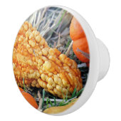 Wratmeloen  keramische knop (Rechts)