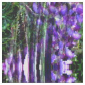 Wreaten van Lupines... Stof (Close Up)