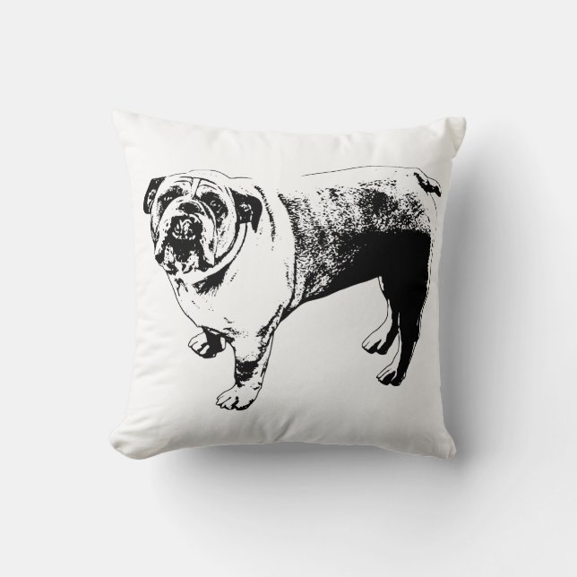 Wreath‑Frame Sofa Accent Kussen (Voorkant)