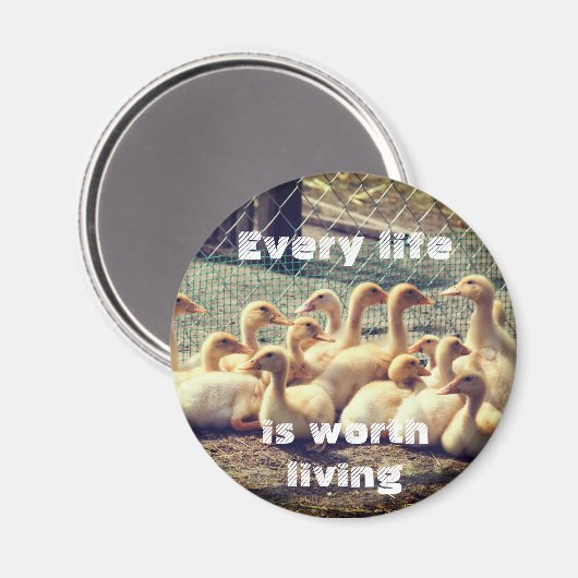 Wreedheid vrije magneet met eenden, veganist (Voorkant / Achterkant)