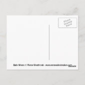 Wren Baby Bird Briefkaart (Achterkant)