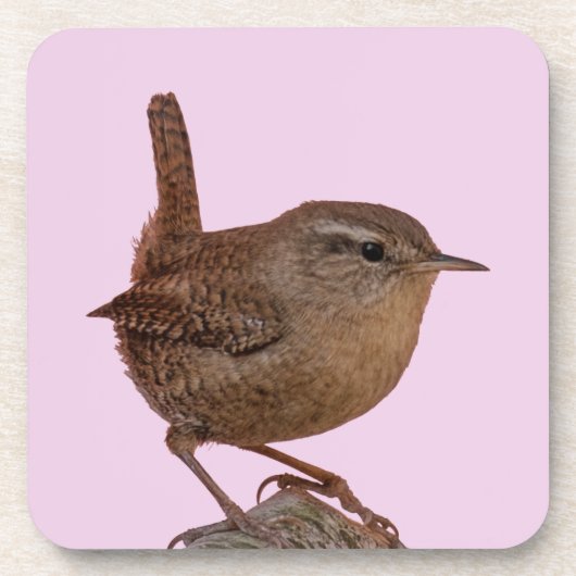 Wren Bier Onderzetter (Voorkant)