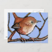 WREN, BIRD, in oliepastel Briefkaart (Voorkant / Achterkant)