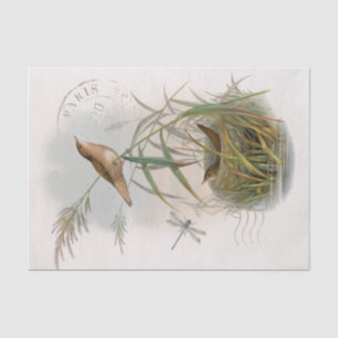Wren Bird Nest Dragonfly Franse poststempel ontkop Tissuepapier