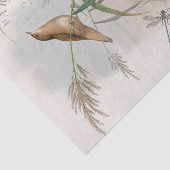 Wren Bird Nest Dragonfly Franse poststempel ontkop Tissuepapier (Detail)