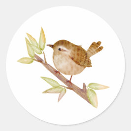 Wren Bird Stickers