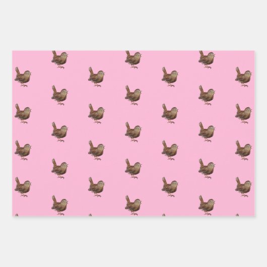 Wren Bird (Troglodytes) Lichtroze Inpakpapier Vel (Voorkant 3)