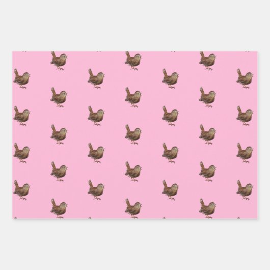 Wren Bird (Troglodytes) Lichtroze Inpakpapier Vel (Voorkant 2)