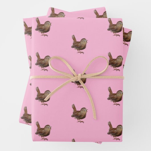 Wren Bird (Troglodytes) Lichtroze Inpakpapier Vel (In situ)