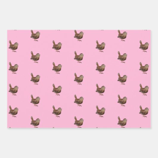 Wren Bird (Troglodytes) Lichtroze Inpakpapier Vel (Voorkant)