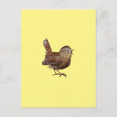 Wren Bird (Troglodytes Troglodytes) Briefkaart (Voorkant)