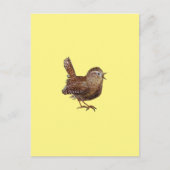 Wren Bird (Troglodytes Troglodytes) Briefkaart (Voorkant)