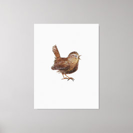 Wren Bird (Troglodytes Troglodytes) Canvas Afdruk