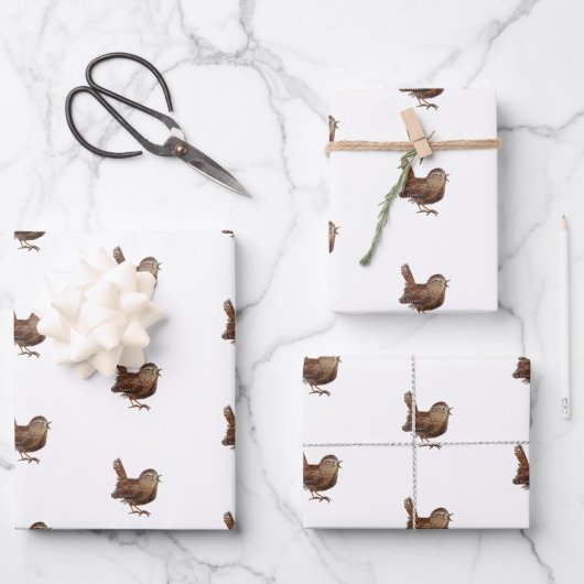 Wren Bird (Troglodytes Troglodytes) Inpakpapier Vel (Voorkant)