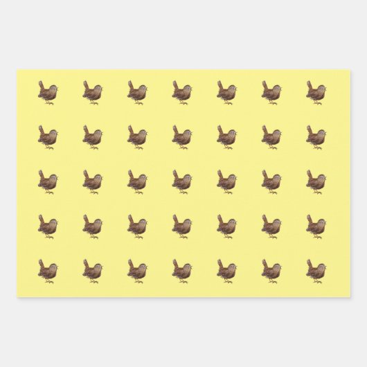 Wren Bird (Troglodytes Troglodytes) Inpakpapier Vel (Voorkant 3)