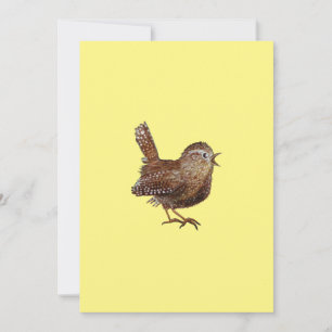 Wren Bird (Troglodytes Troglodytes) Kaart