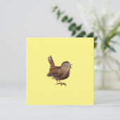 Wren Bird (Troglodytes Troglodytes) Kaart (Staand voorkant)