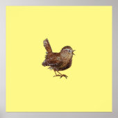 Wren Bird (Troglodytes Troglodytes) Poster (Voorkant)