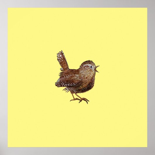 Wren Bird (Troglodytes Troglodytes) Poster (Voorkant)