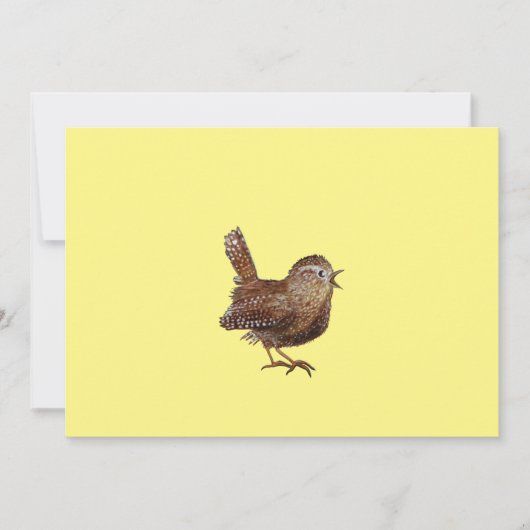 Wren Bird (Troglodytes Troglodytes) zingend Kaart (Voorkant)