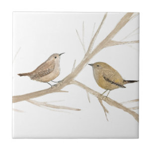 Wren Bird Wildlife Waterverf Kunst Schattig Tegeltje
