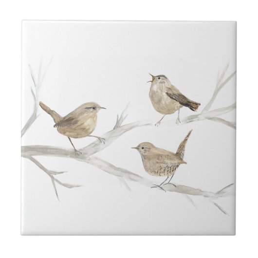 Wren Bird Wildlife Waterverf Kunst Schattig Tegeltje (Voorkant)