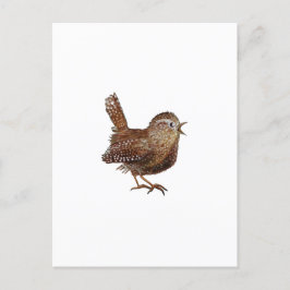 Wren Bird zingt luid en mooi lied Briefkaart
