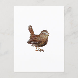Wren Bird zingt luid en mooi lied Briefkaart
