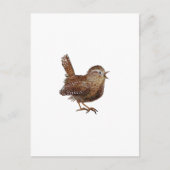 Wren Bird zingt luid en mooi lied Briefkaart (Voorkant)