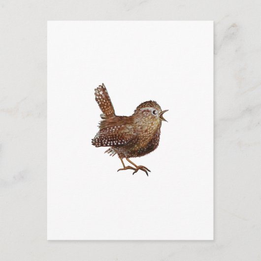 Wren Bird zingt luid en mooi lied Briefkaart (Voorkant)