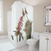 Wren Birds Wildlife Audubon Showgordijn Douchegordijn (In situ)