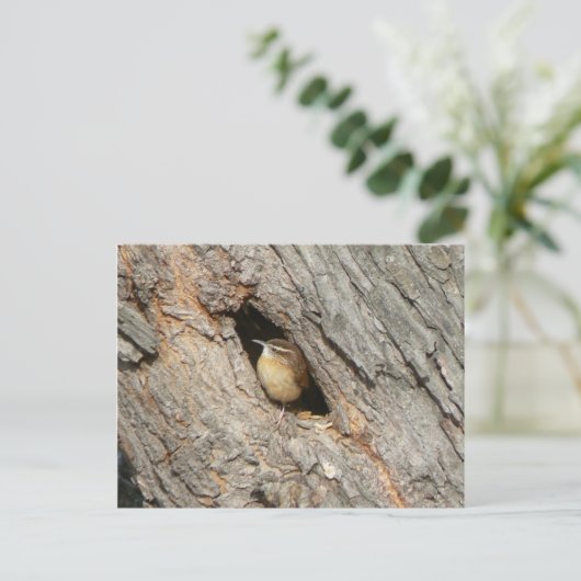 Wren Briefkaart. Briefkaart (Staand voorkant)