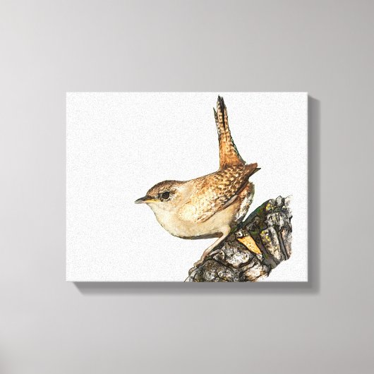 Wren Canvas Afdruk (Voorkant)