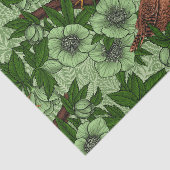 Wren en hellebore, lichtgroen tissuepapier (Detail)