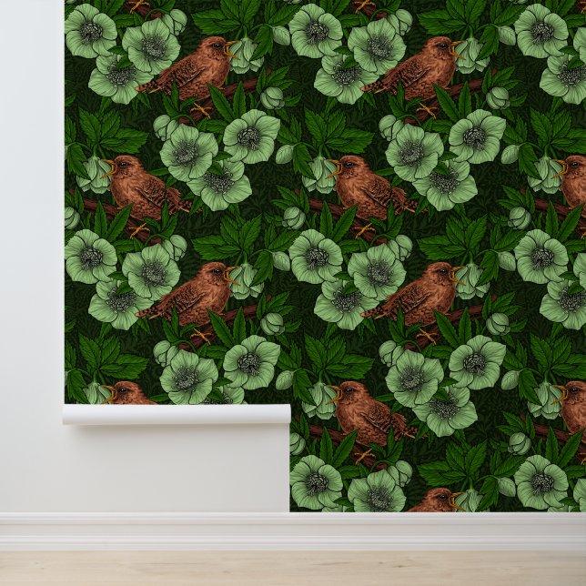 Wren en hellebore op donkergroen behang (Applicatie)